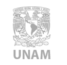 unam